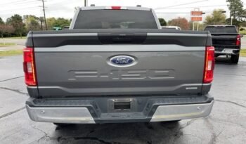 
									2023 Ford F-150 XLT SuperCrew 5.5′ Box 4WD full								