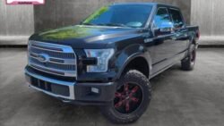 2015 Ford F-150 Platinum SuperCrew 5.5' Box 4WD