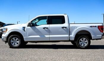 
									2021 Ford F-150 XLT SuperCrew 5.5′ Box 4WD full								