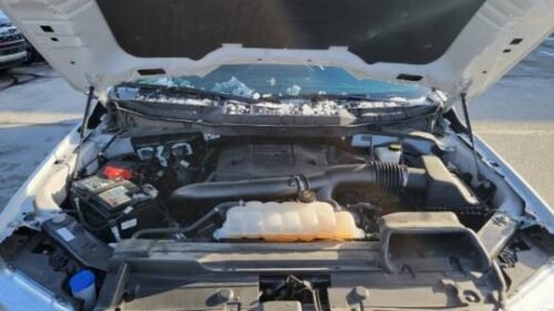 2021 Ford F-150 XLT SuperCrew 5.5' Box 4WD - Image 2