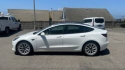 2021 Tesla Model 3 Standard Range Plus RWD
