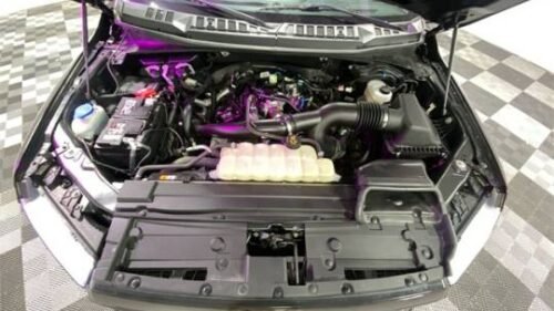 2019 Ford F-150 XL SuperCrew 5.5' Box 4WD - Image 3