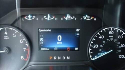 2022 Ford F-150 XL SuperCrew 5.5' Box 4WD - Image 5