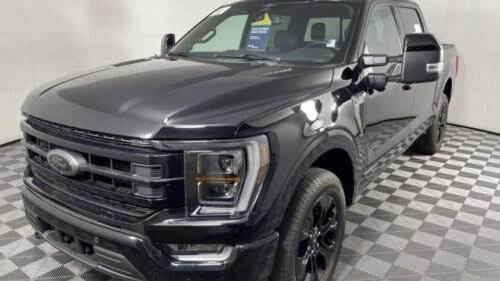 2023 Ford F-150 Platinum SuperCrew 5.5' Box 4WD - Image 12