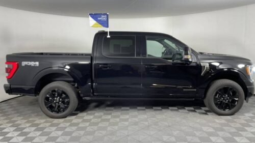 2023 Ford F-150 Platinum SuperCrew 5.5' Box 4WD - Image 13